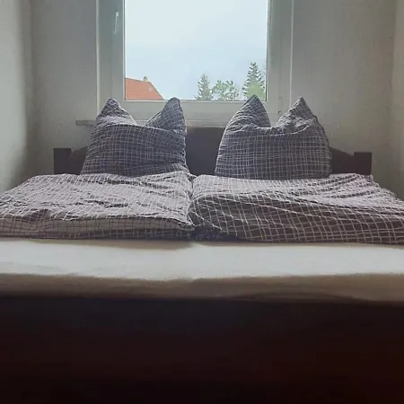 Schuur - Harz