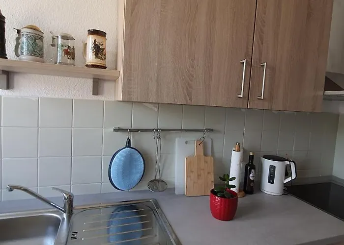 Schuur - Harz דירה האסלפלדה