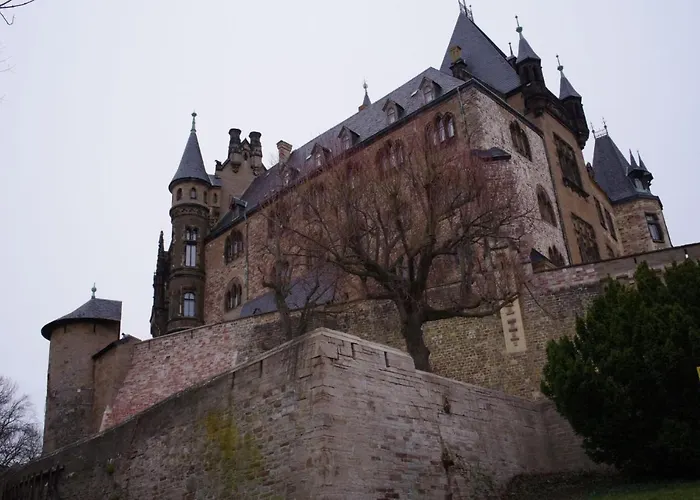 Schuur - Harz Apartment