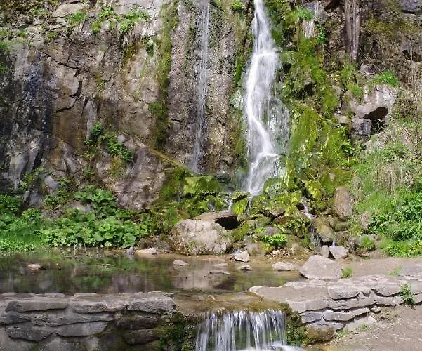 Schuur - Harz Lejlighed Hasselfelde