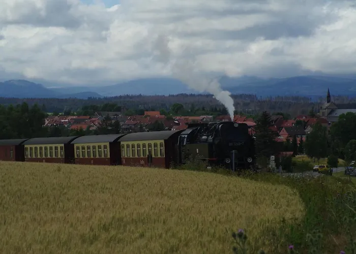 Lejlighed Schuur - Harz Hasselfelde